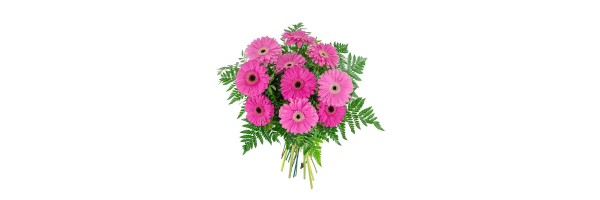 Amistad envio flores - enviofloresvalencia.com